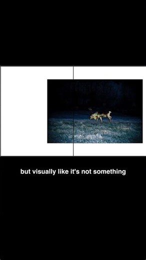 39 Maria Lax SOME KIND OF Short08