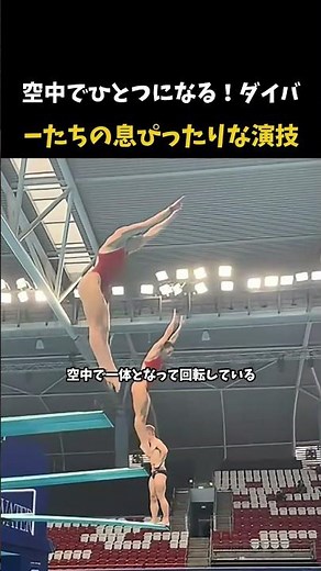 空中でひとつになる！ダイバ?たちの息ぴったりな演技 #ダイビング #水泳 #シンガポール2025 #スポーツ #シンクロナイズド #Diving #WorldAquatics