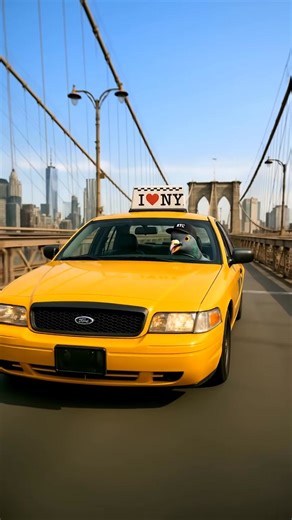 Spending almost an HOUR a day driving? Might as well make it pay off. NY Drivers: Get 10% off your insurance with a quick online course. | Defensive Driving Online by IMPROV