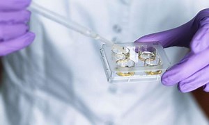 What's the right way for scientists to edit human genes? 5 essential reads - The Malta Independent