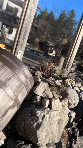 Discover the Exciting World of Aprilia Mopeds