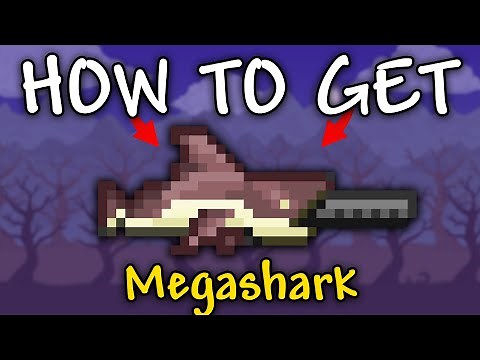 How to Get Megashark in Terraria | Megashark Terraria