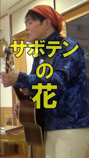 昭和世代が歌う染みる｜サボテンの花 チューリップ 弾き語り🎸