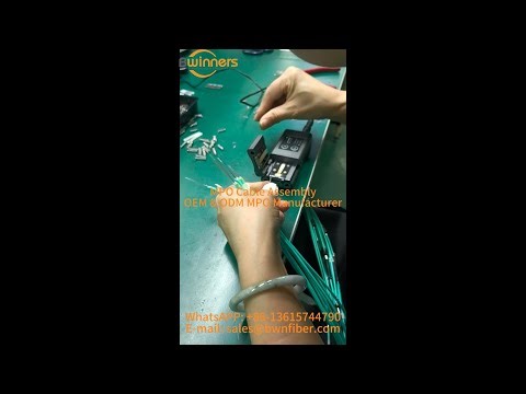 MPO 24-Fiber Manufacturing #bwnfiber #mpo #datacenter #odn