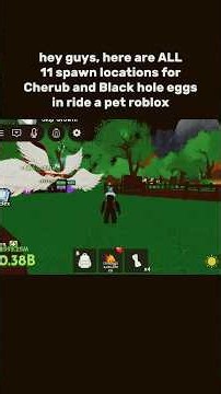 All 11 Black Hole Egg and Cherub Egg Spawn Locations in Ride A Pet Roblox #roblox
