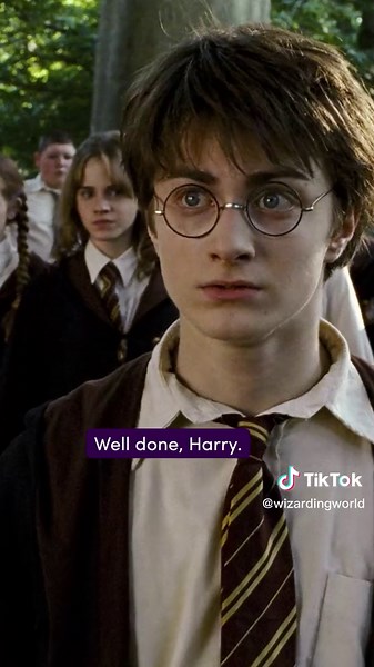 Celebrate Hagrid's Birthday: A Hogwarts Hero