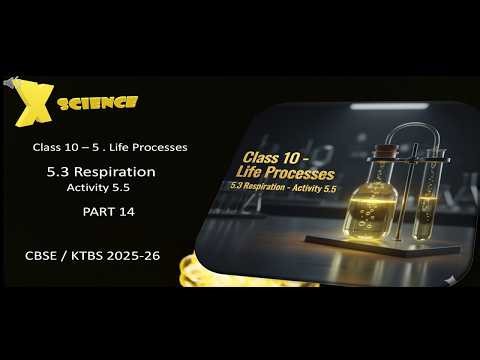 5 2 activity 5 5part 14