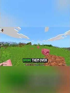 How to make AFK XP FARM in MINECRAFT