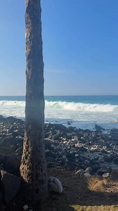 Big surf today and it’s clear and cool!! | 365 Things To Do In Kona, HI