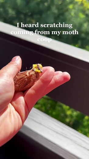 Magical Moment Celebrating Moth Mom Mothersday
