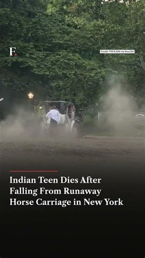 Indian Teen Dies After Falling From Runaway Horse Carriage in New York's Central Park