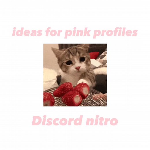 Discord Profile Ideas: Pink, Blue, and Aesthetic Themes