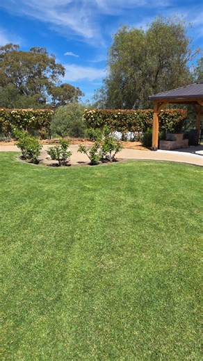 Ideal conditions for lawn and garden upkeep, including trimming and pruning services. Whole Nine Yards & Lawn Maintenance 0460644995 for achieving a flawless lawn and garden. Fertiliser and weed control for optimal lawn growth programs. | Whole Nine Yards & Lawn Maintenance