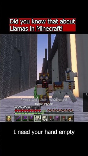 You Can Ride The Wandering Trader Llama in Minecraft #minecraft #shorts