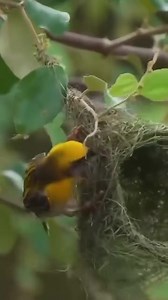 Civil Engineer | Kalavathi Kala