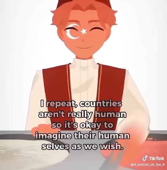 Understanding Countryhumans Fandom Dynamics