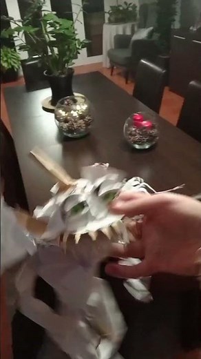 Embrace Of The Vampire (1995)