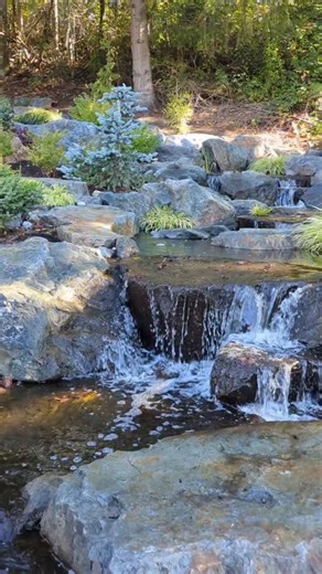 2.7K views · 647 reactions | This property already had a natural pond...