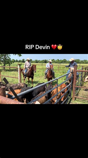 #cowboy #angelwings | what happened to devin cowboy