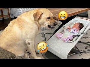 I Bet You Will Lose 😂 These DOGS Are Too FUNNY | Funniest Dogs of 2026