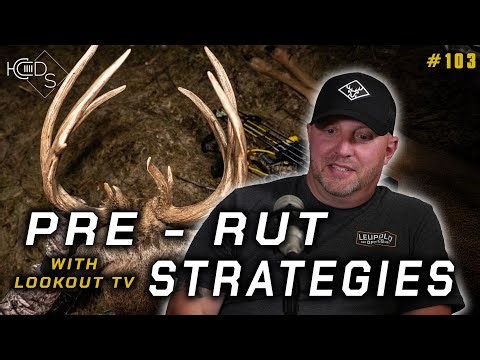 PRE-RUT Strategies | Scrapes, Rubs, Weather, Trail Cams...