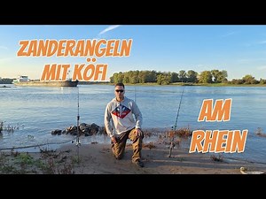Zanderangeln mit Köderfisch am Rhein #zander #angeln #rhein
