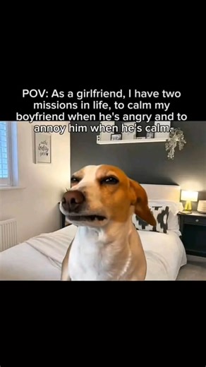 19K views · 1.9K reactions | Best weekend meme 﫢 | Kennyshow Opeyemi | Facebook