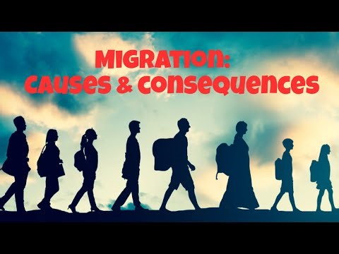 Migration: Causes & Consequences