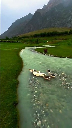 Himalayan View is really Wow 😮 !!