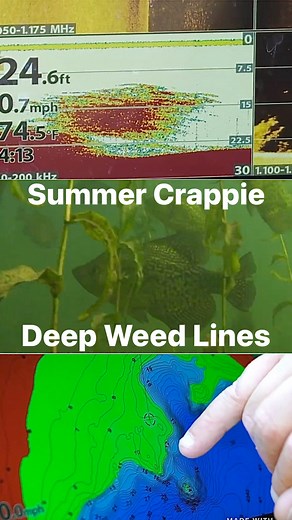 🤝 Follow us for more crappie fishing tips and techniques! | AnglingBuzz