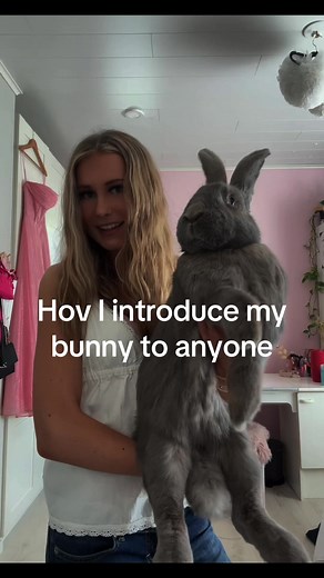 My baby❤️ us against the world! Ignore my messy hair #bunny #rabbitsoftiktok #big #lidabidabodabuttandemeraldjadegreenball #fyp