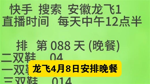 龙飞4月8日安排晚餐
