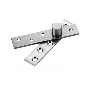 [Hot Item] Eccentric Rotating Hinge Stainless Steel Door Pivot Hinge
