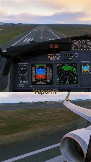 PMDG 737Landing into HKJK