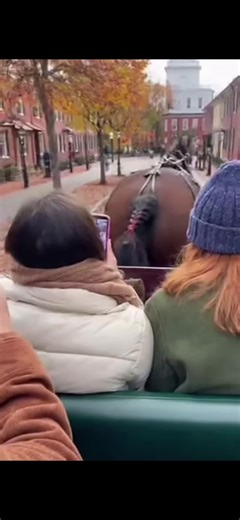 #animals #fart #shart #horse #funny