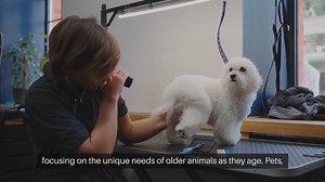 Senior Pet Care