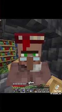 If villagers could talk in Minecraft