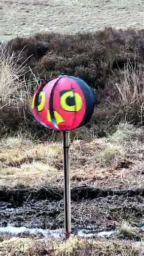 Bird scarers at proposed site of Golticlay wind farm in Caithness