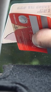 Unique, long-lasting, high-quality & filthy Rego Pouches - choose from hundreds of designs made in NZ. 🇳🇿😎 💪🏼 Long Lasting ☀️ UV Resistant 👌 Easy Application 🐾 Personalised Check out the largest collection of rego holders in NZ with Filthy Dog. | Filthy Dog