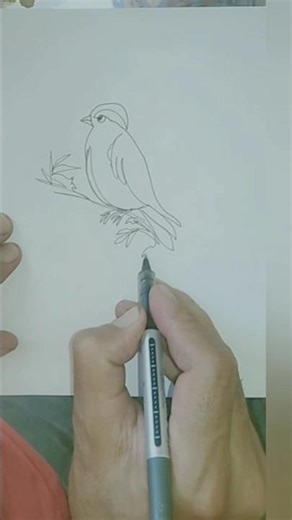 Beautiful and Creative Drawing