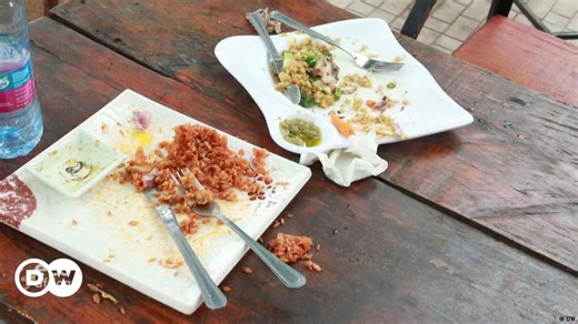 Organic fertilizer from food waste