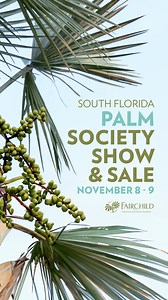 Come explore the world of palms for yourself at the South Florida Palm Society’s 41st Fall Palm Show & Sale, right here at Fairchild. Discover hundreds of palms and cycads, meet the experts, and take home seeds, tips, and inspiration. 🌿 📍 Fairchild Tropical Botanic Garden 🔗 Tap the link in bio to view the full Plant List. | Fairchild Tropical Botanic Garden