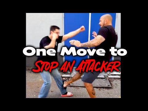 Fast Self Defense to Stop an Attack