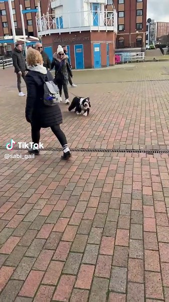 My Love for Animals: Afronita's Adorable BGT Audition