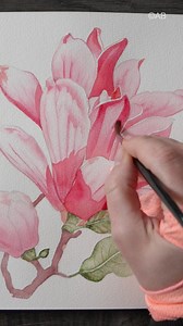 275K views · 5.8K reactions | Watercolor Magnolia  Painting in the Cold pressed section of my limited Edition Etchr Lab Sketchbook 殺 | Anna Bucciarelli Studio | Facebook