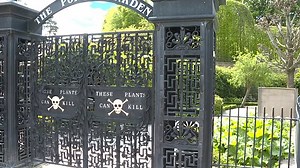 Inside the poison garden at Alnwick Castle that has venomous plants