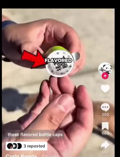 #creatorsearchinsights #funny #croatia #hrvatskatiktok #trending | panda