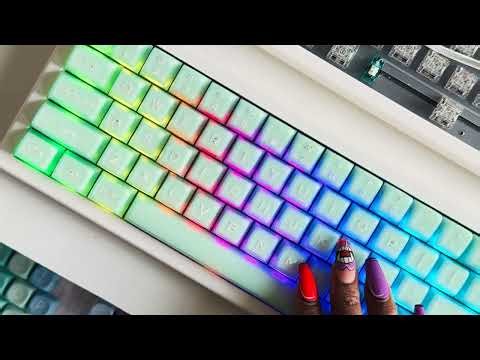RGB Backlit Kit - The Mint Assembly Silent Keyboard Test