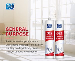 [Hot Item] Gns G22 Multi Use Silicone Sealant for Glass and Windows