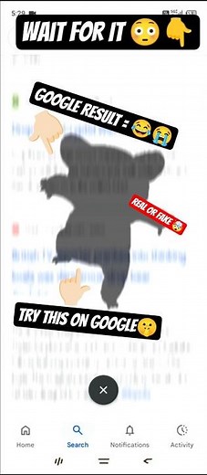 What Is a Drop Bear🤫Explained Simply🤫😱#DropBear #GoogleSearch #FunnySearch #GoogleResult #shortsfeed